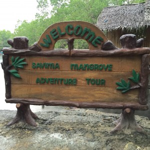 Bohol Mangrove