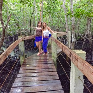 Bohol Mangrove